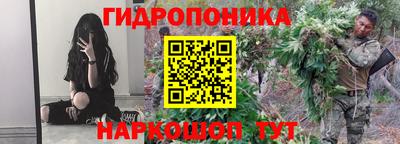 apvp Лесосибирск