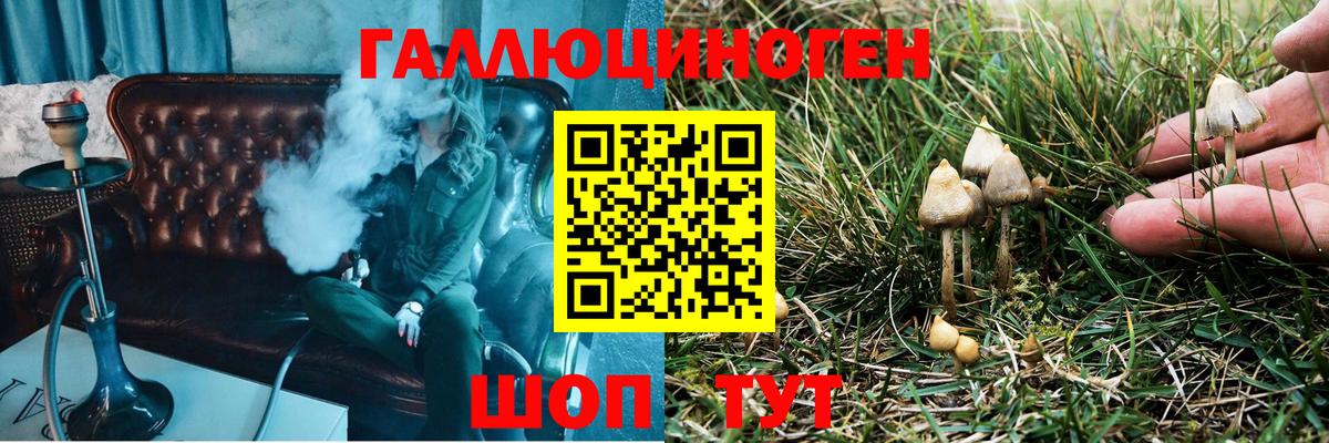 Дальнереченск  Псилоцибиновые грибы Psilocybe  Вход с VPN 